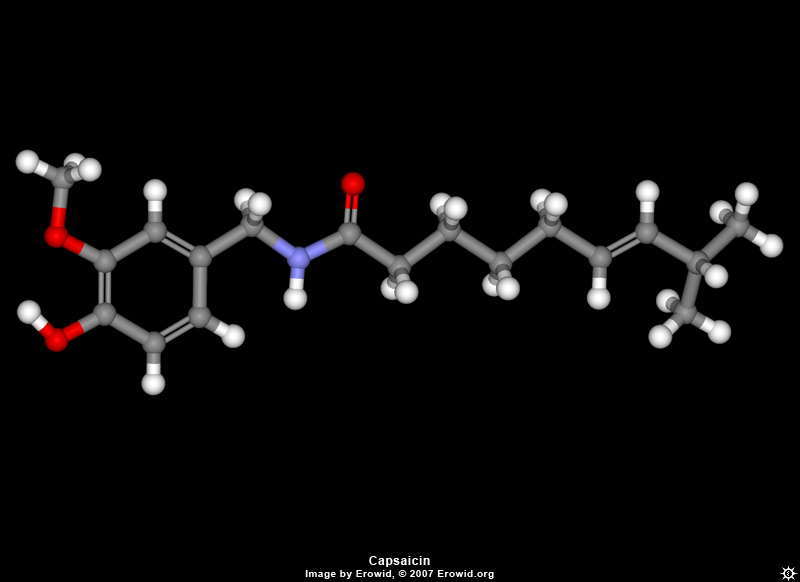 Kapszaicin molekula (a csípősségért felelős anyag)